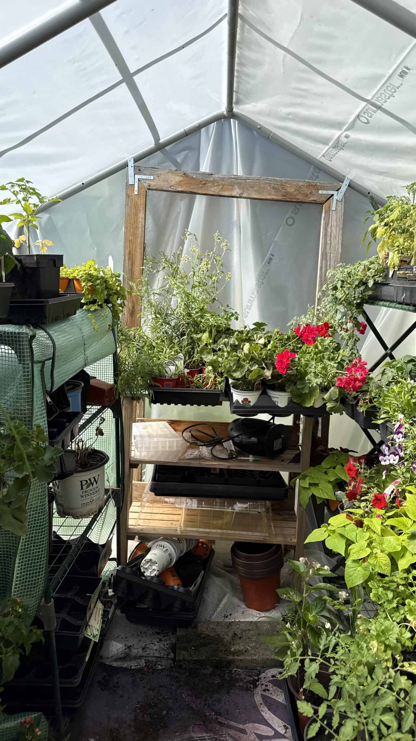 Greenhouse growing at Exotic Gardening Farm and Wildlife Habitat.