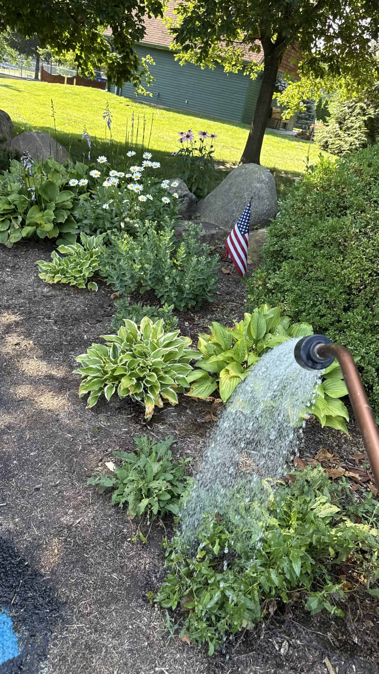 Garden planting at the Blue Star Garden at Matter Park in Marion, Indiana.