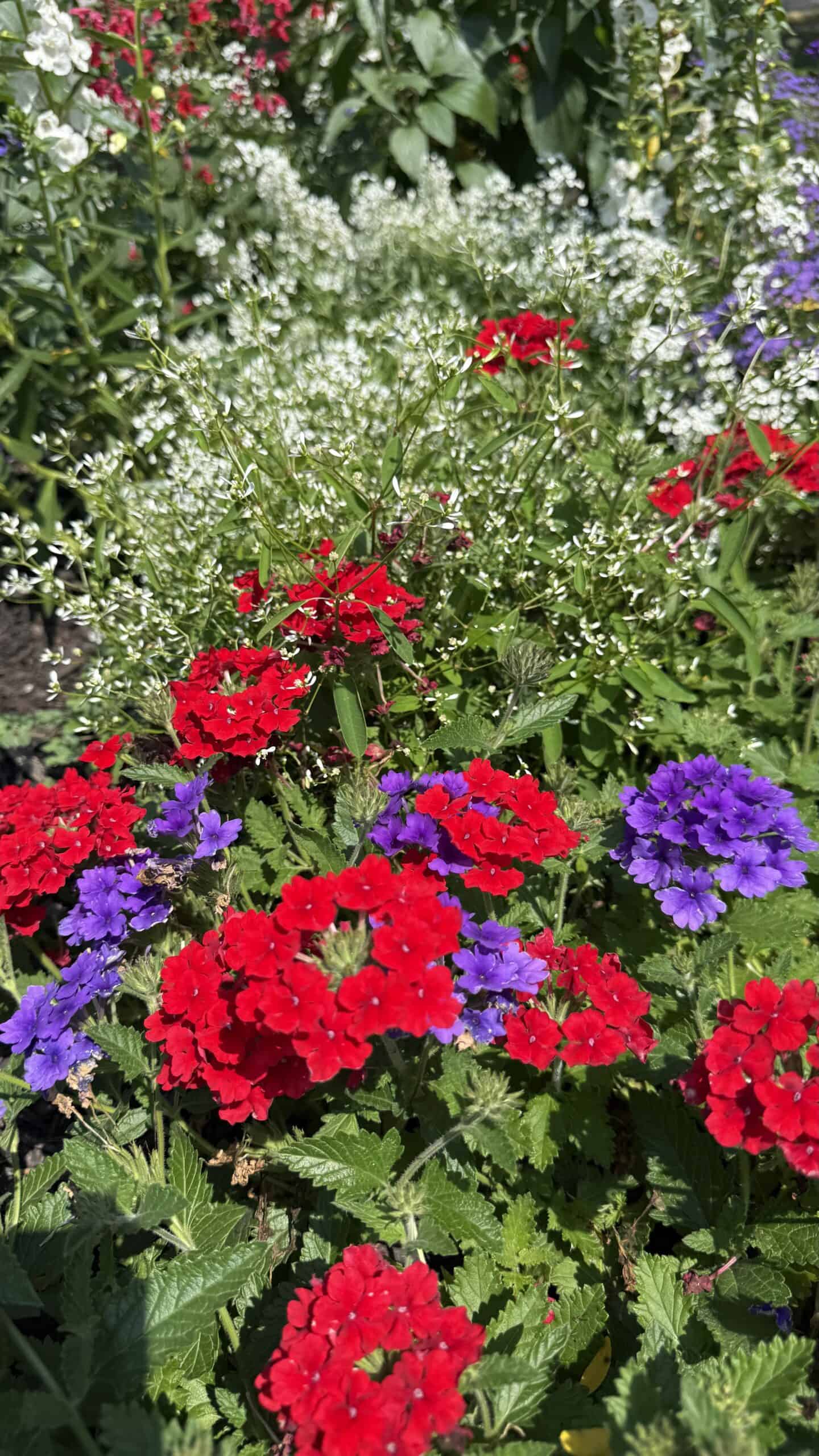 Flowers and landscaping at Gas City Park in Gas City, Indiana during summer 2026.