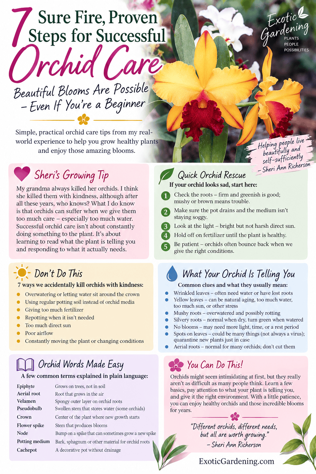 Beginner orchid care infographic with practical tips for healthy plants and beautiful blooms.