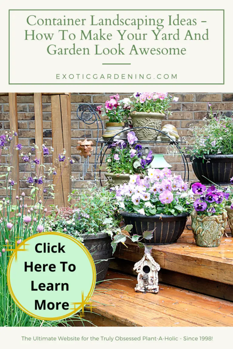 Container Landscaping Ideas - How To Make Your Yard And Garden Look ...