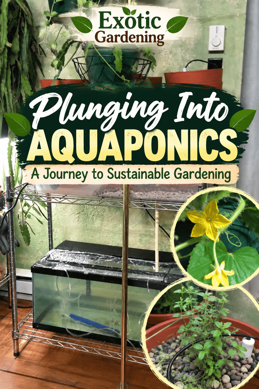 Aquaponics gardening with fish and plants in a recirculating system - Exotic Gardening