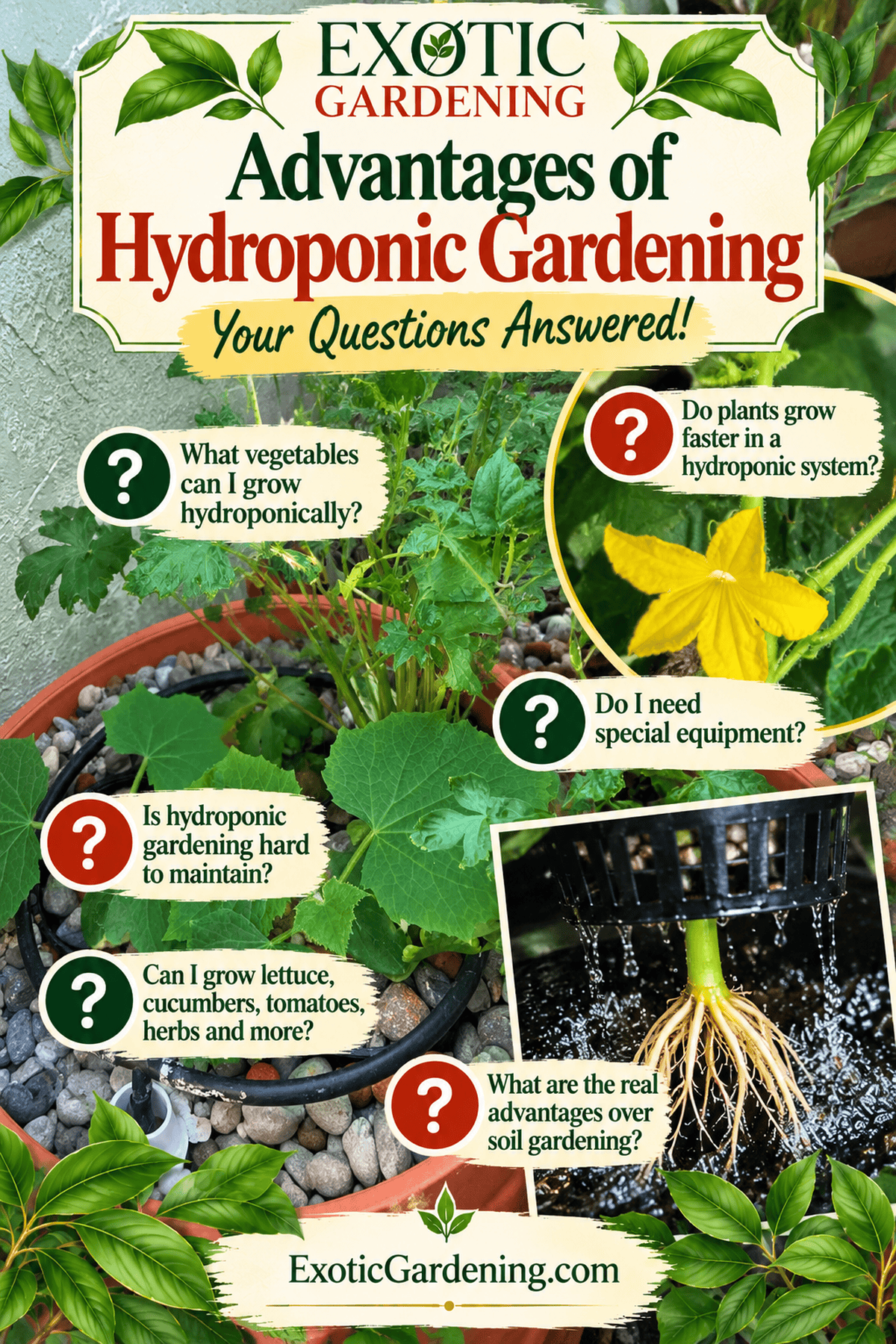hydroponic gardening advantages curiosity Pinterest graphic - Exotic Gardening
