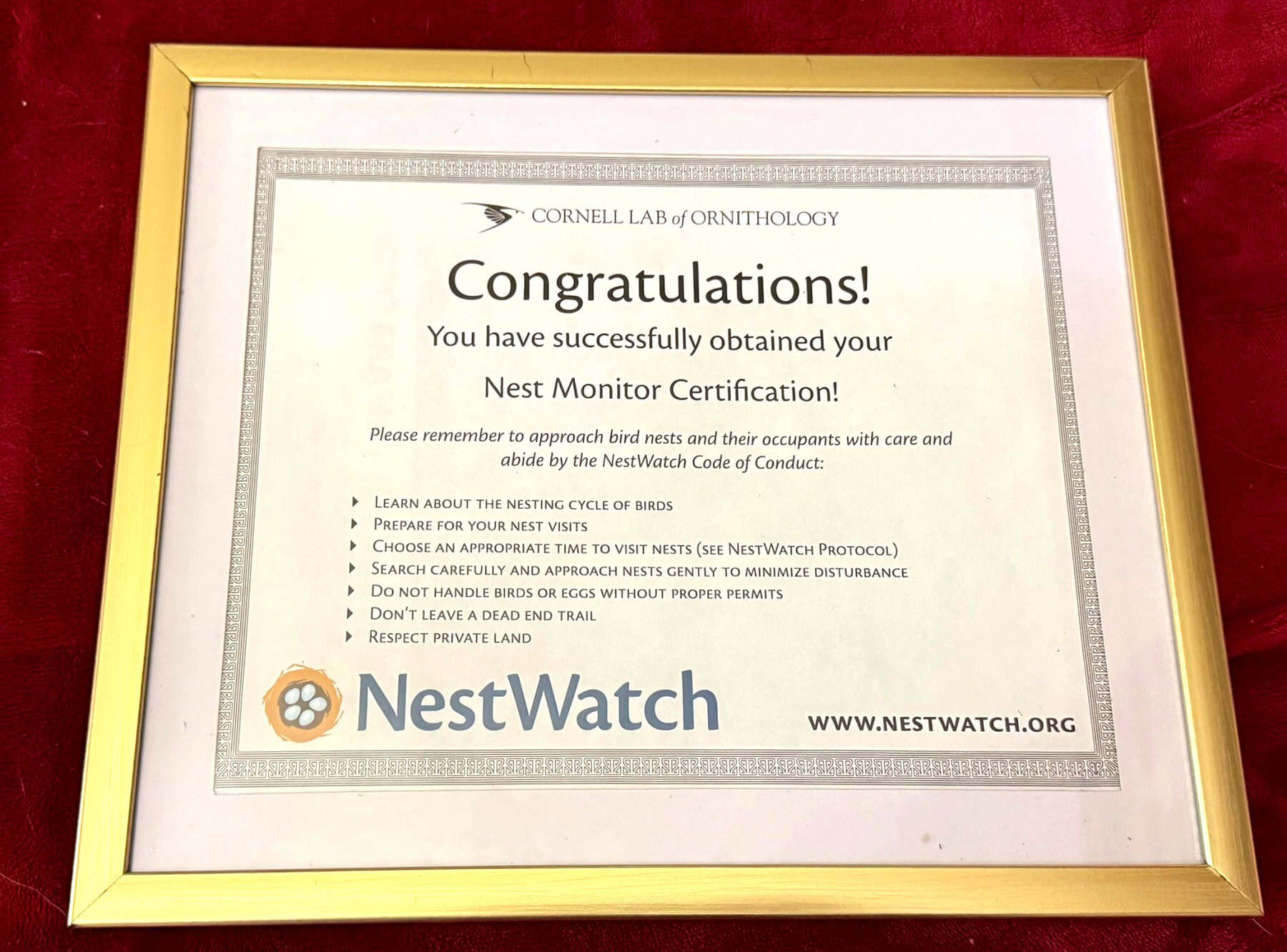 Sheri Ann Richerson Cornell Lab of Ornithology NestWatch Nest Monitor Certification