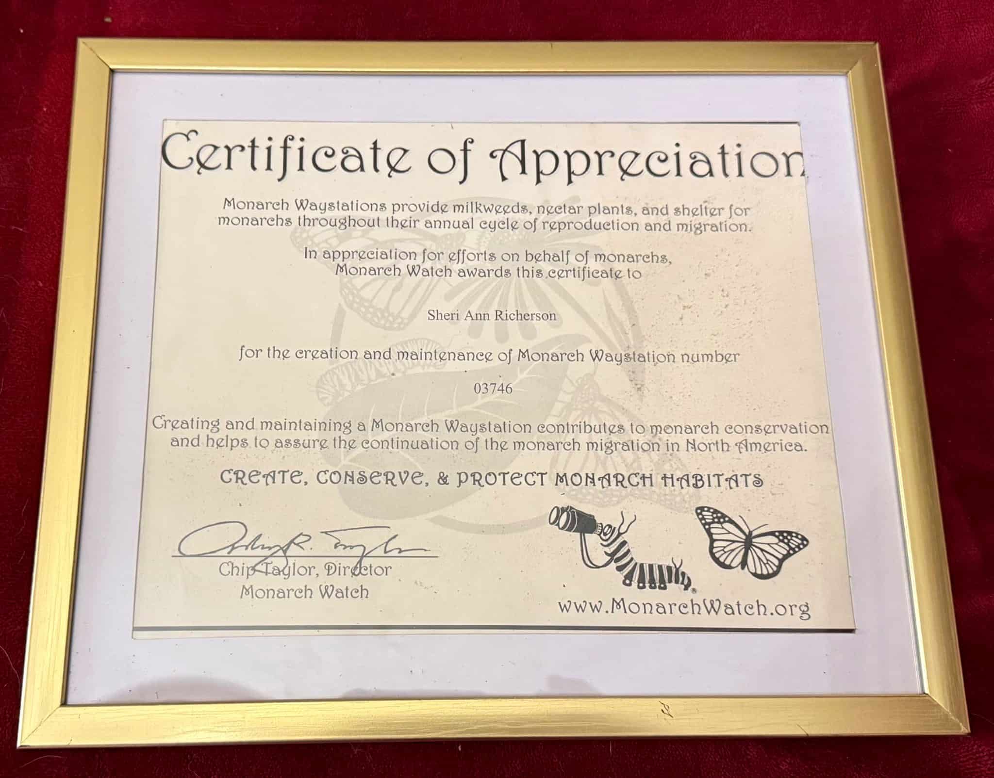 Monarch Watch certificate awarded to Sheri Ann Richerson for Monarch Waystation number 03746.