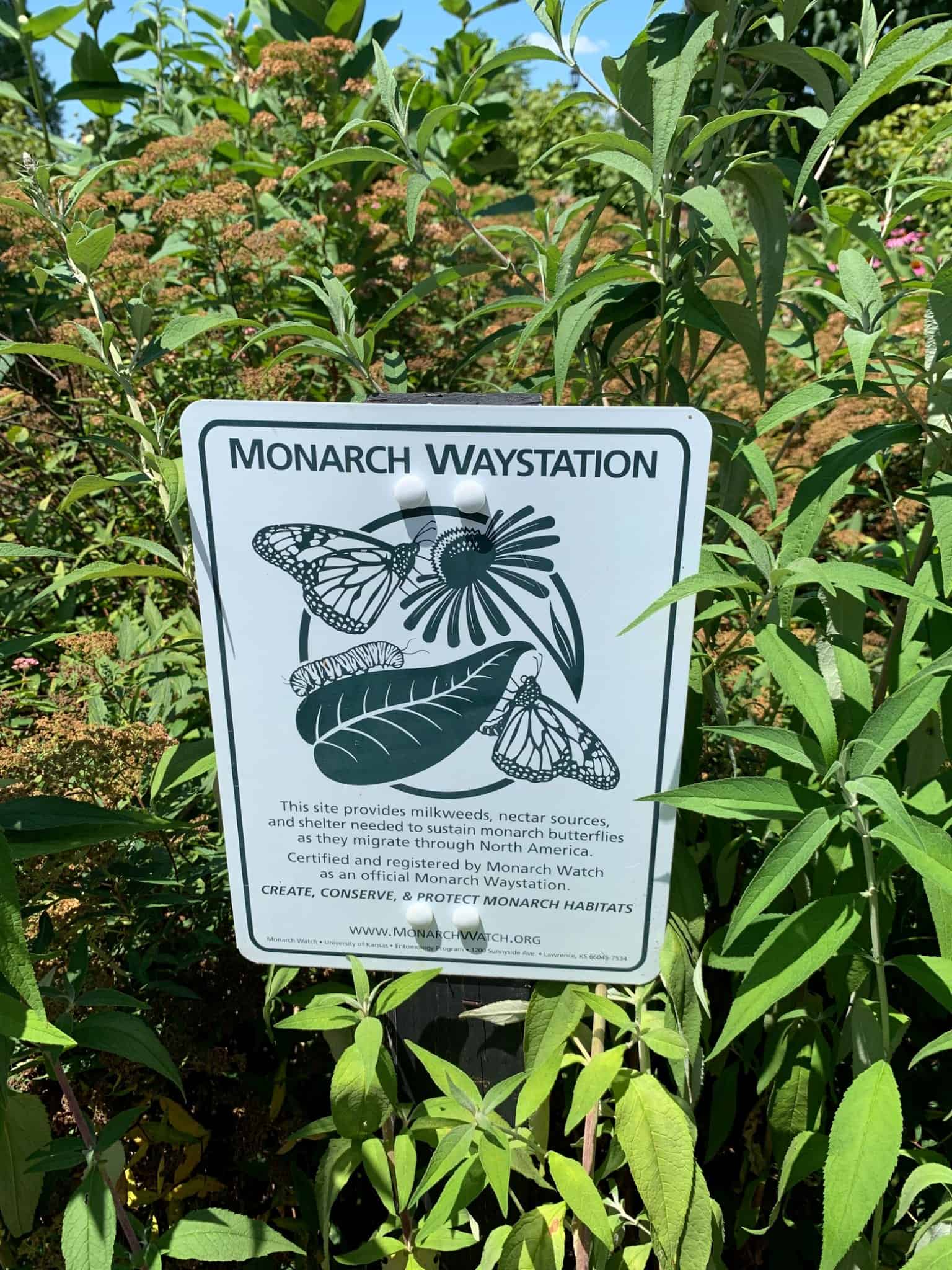 Monarch Waystation sign surrounded by plants at Exotic Gardening Farm and Wildlife Habitat.