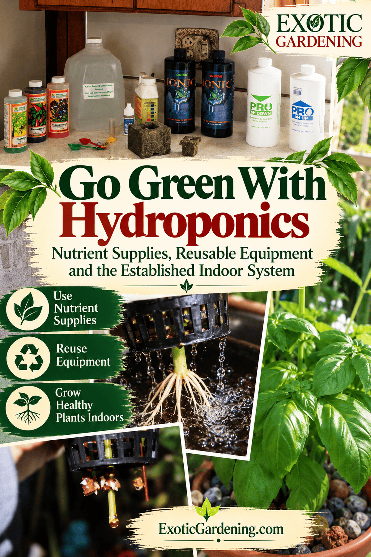 go green with hydroponics answer Pinterest graphic - Exotic Gardening