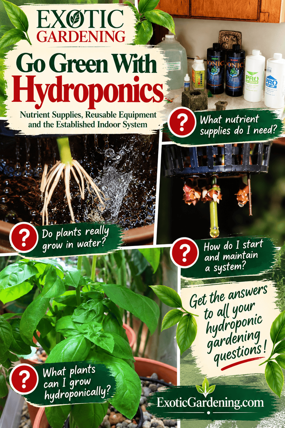 go green with hydroponics curiosity Pinterest graphic - Exotic Gardening