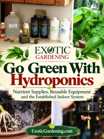 Sustainable hydroponics featured image about saving water, reducing waste and managing energy in a hydroponic garden - Exotic Gardening