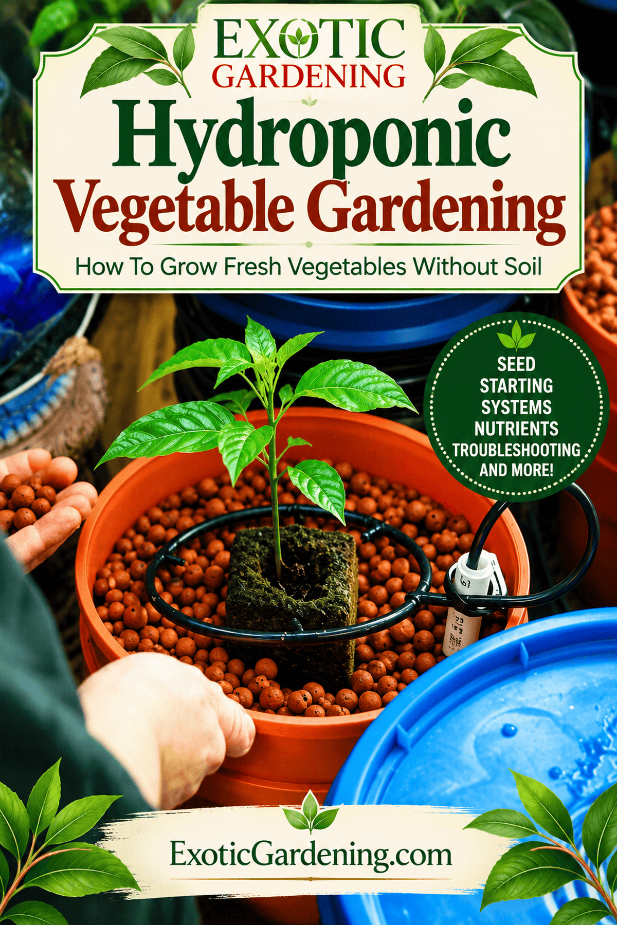 Hydroponic vegetable gardening answer pinterest 1200x1800 - Exotic Gardening
