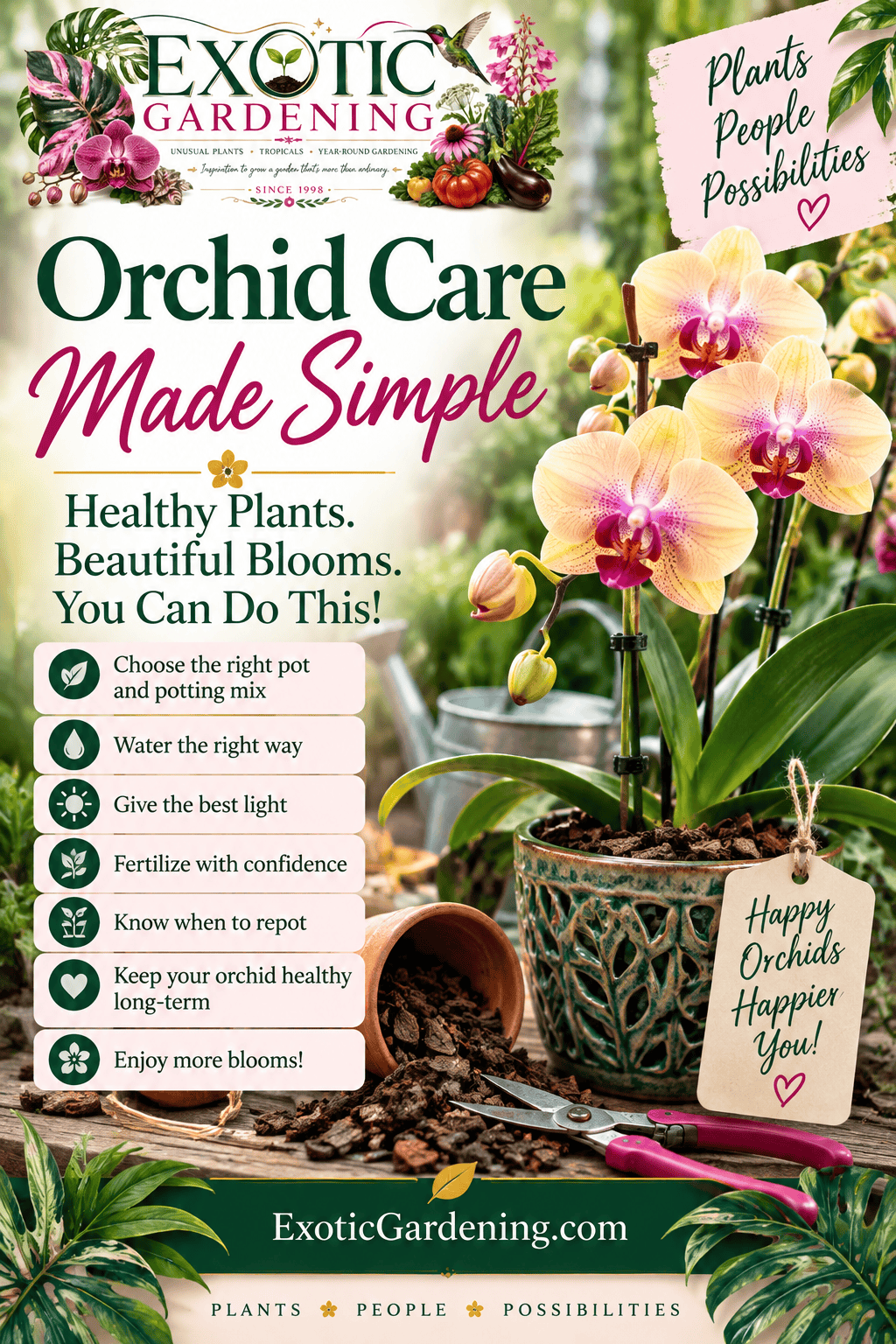 Orchid care made simple with practical tips for healthy plants and beautiful blooms.