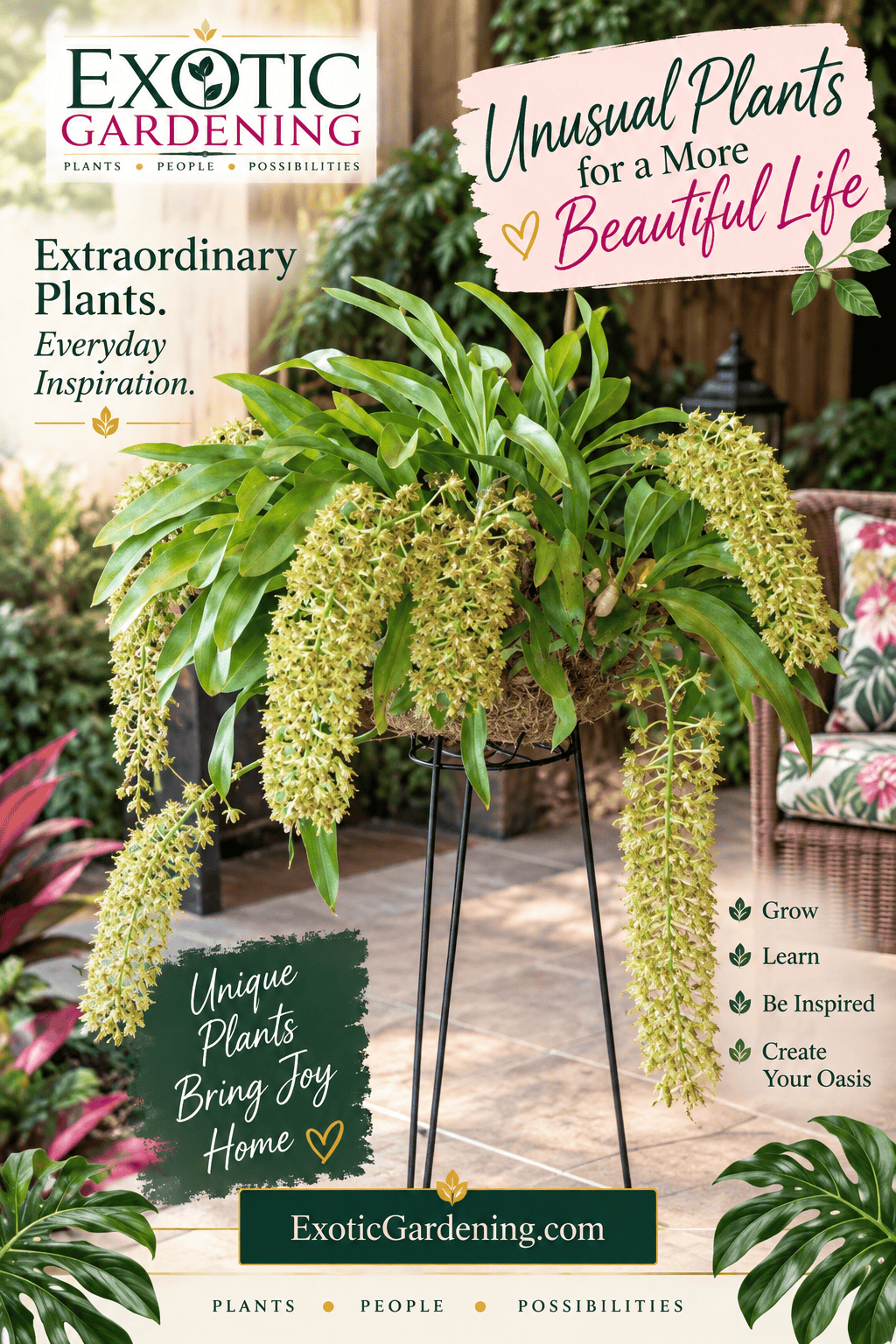 Large cascading orchid display in a garden-inspired lifestyle setting.