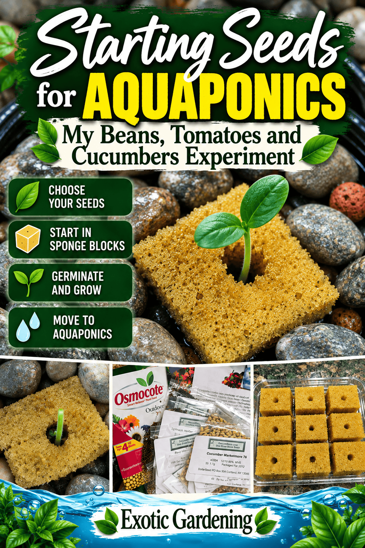 Starting seeds for aquaponics with sponge starter blocks - Exotic Gardening
