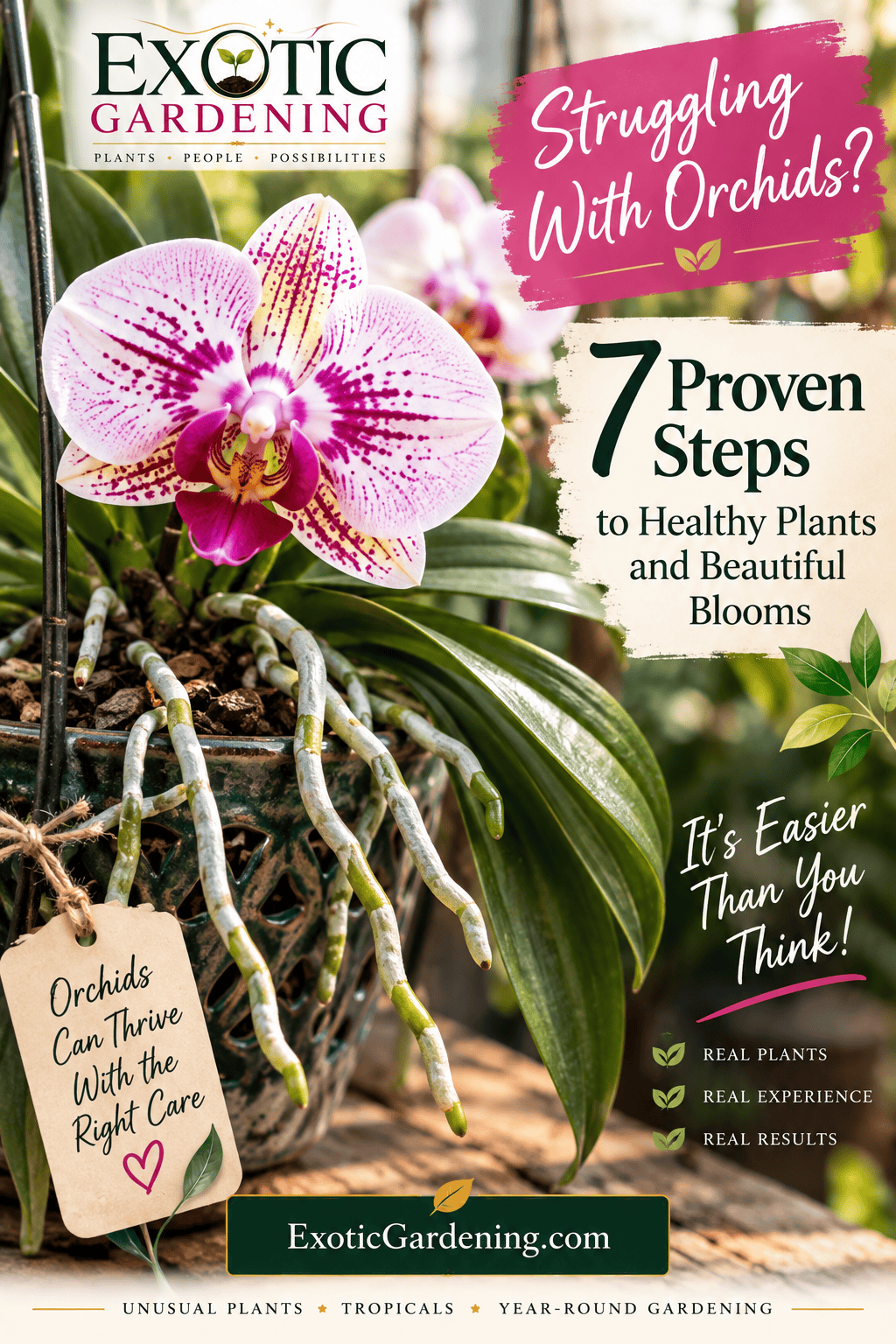 Orchid care tips for beginners struggling to keep orchids healthy and blooming.