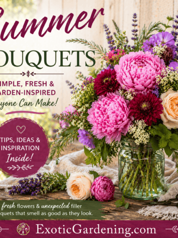 Garden-inspired summer bouquet with peonies, roses, and dahlias arranged in a mason jar with herbs.